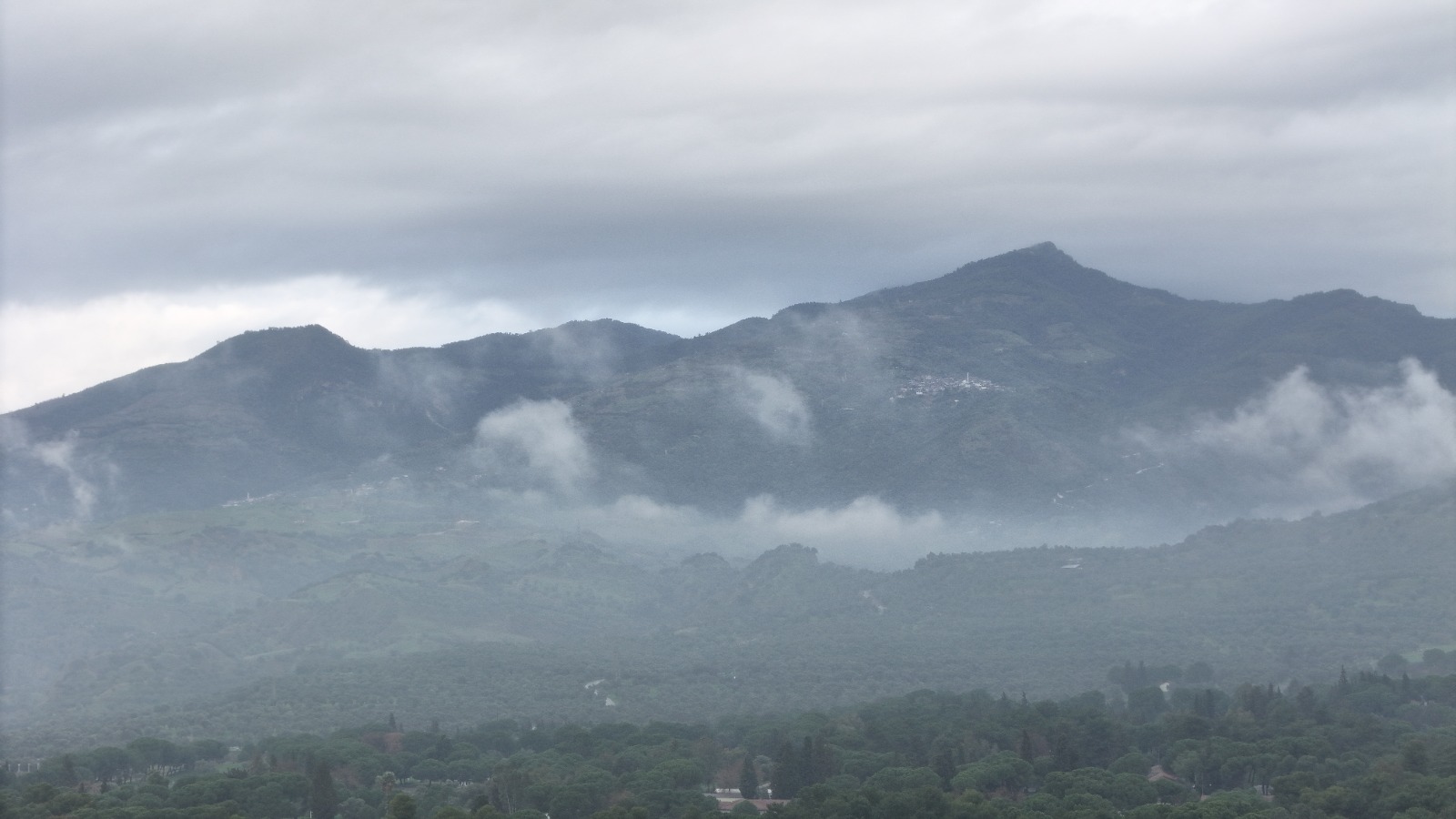 Whatsapp Image 2026 02 06 At 12.47.07 (7)