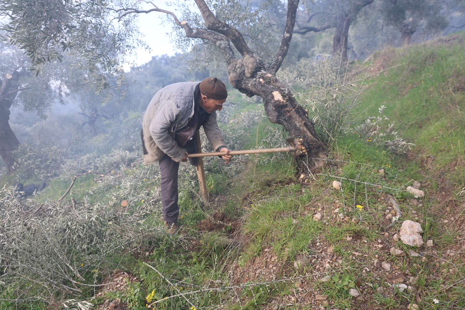 Whatsapp Image 2026 02 09 At 16.43.02 (1)