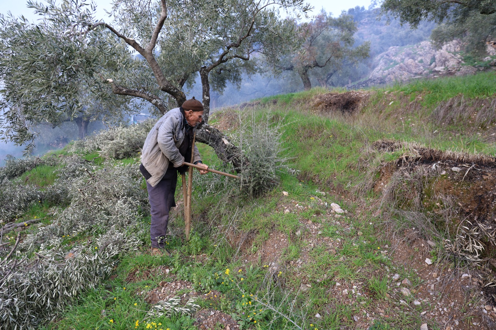 Whatsapp Image 2026 02 09 At 16.43.02 (4)