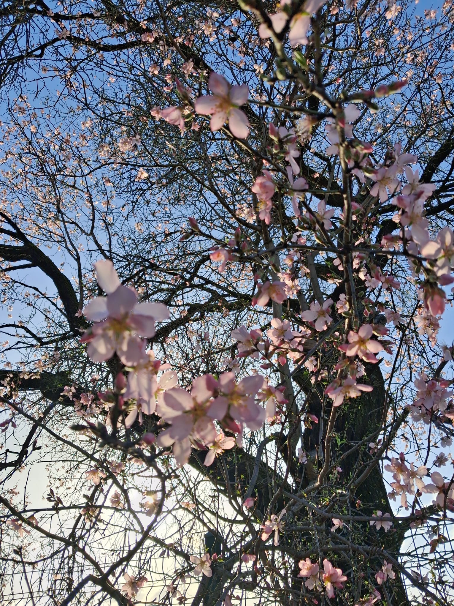 Whatsapp Image 2026 02 14 At 21.03.10 (1)