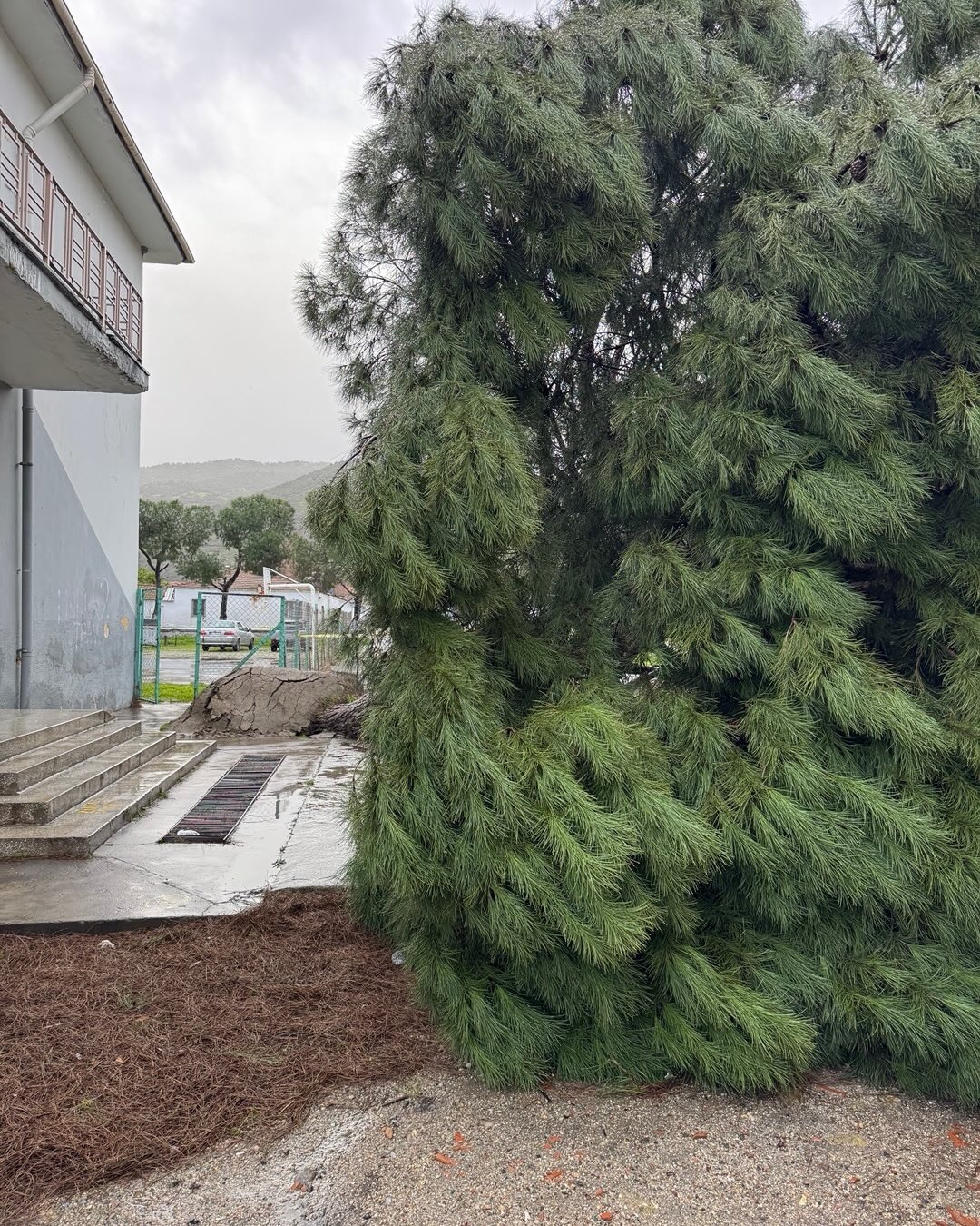 Whatsapp Image 2026 02 16 At 13.11.29 (1)