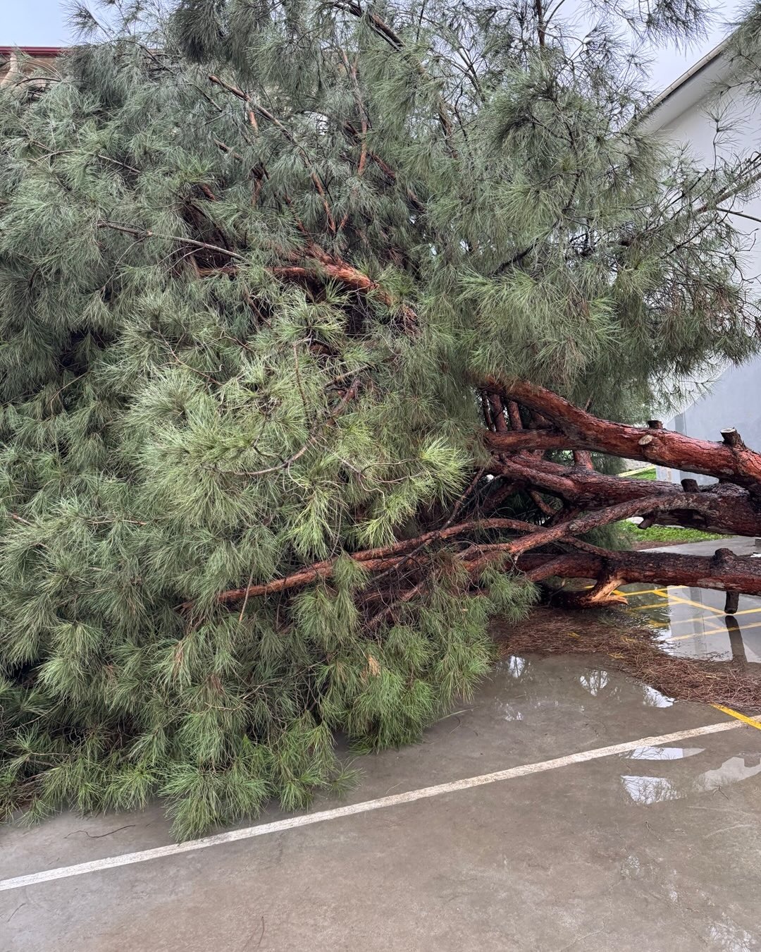 Whatsapp Image 2026 02 16 At 13.11.29