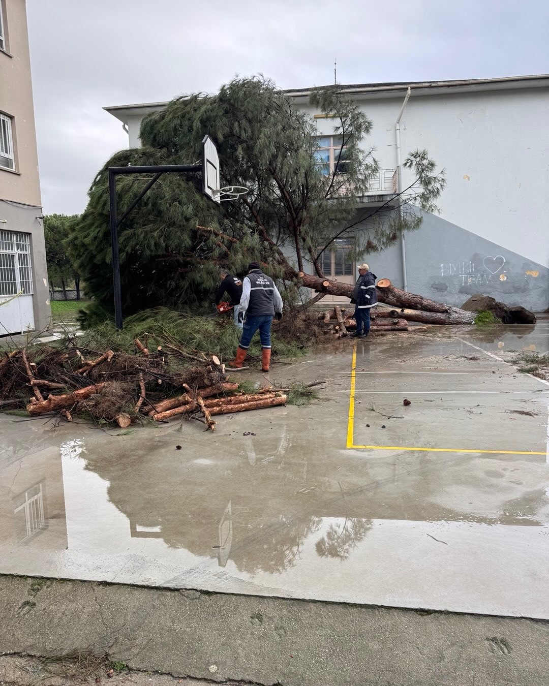 Whatsapp Image 2026 02 16 At 13.11.30 (1)