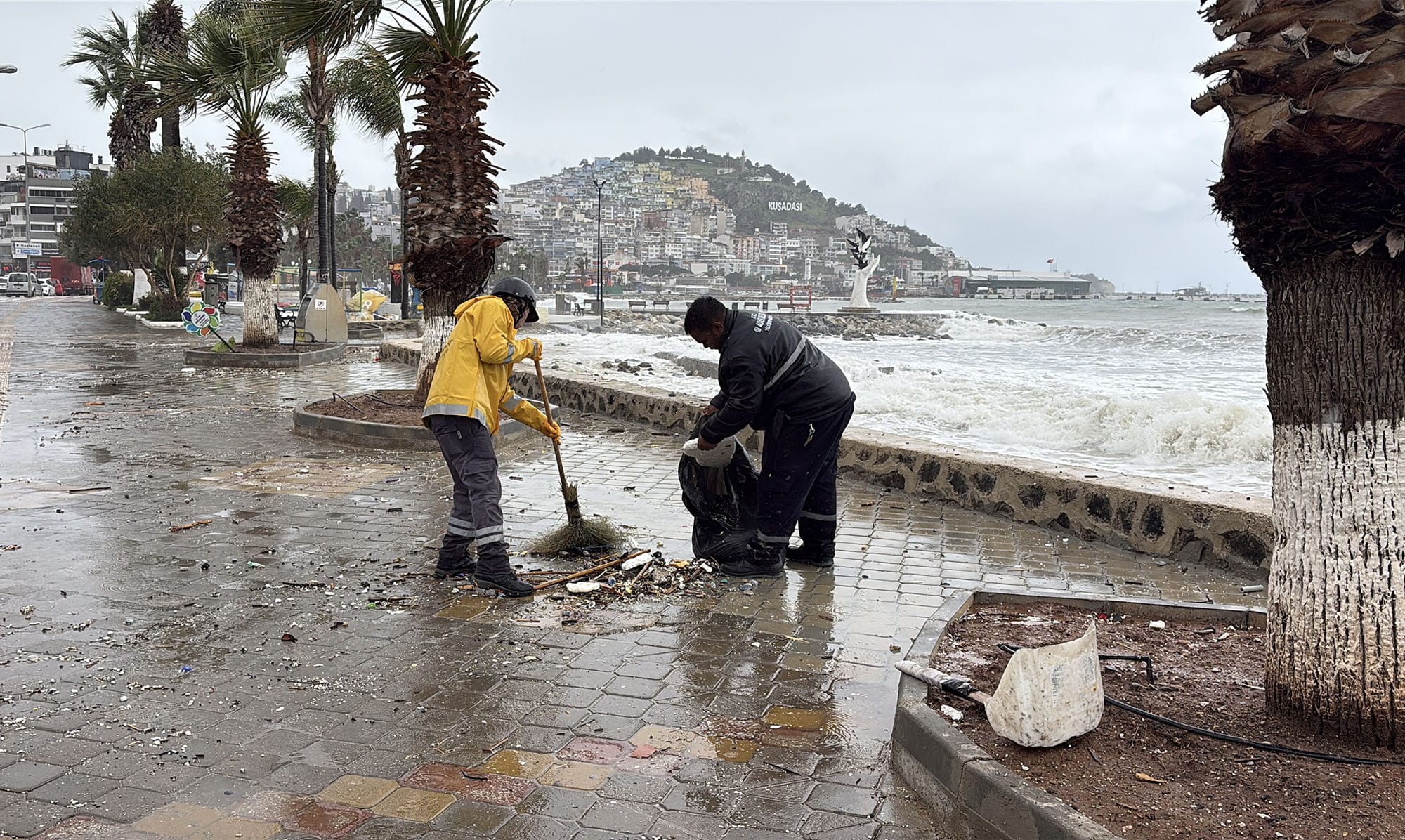 Whatsapp Image 2026 02 18 At 17.39.19