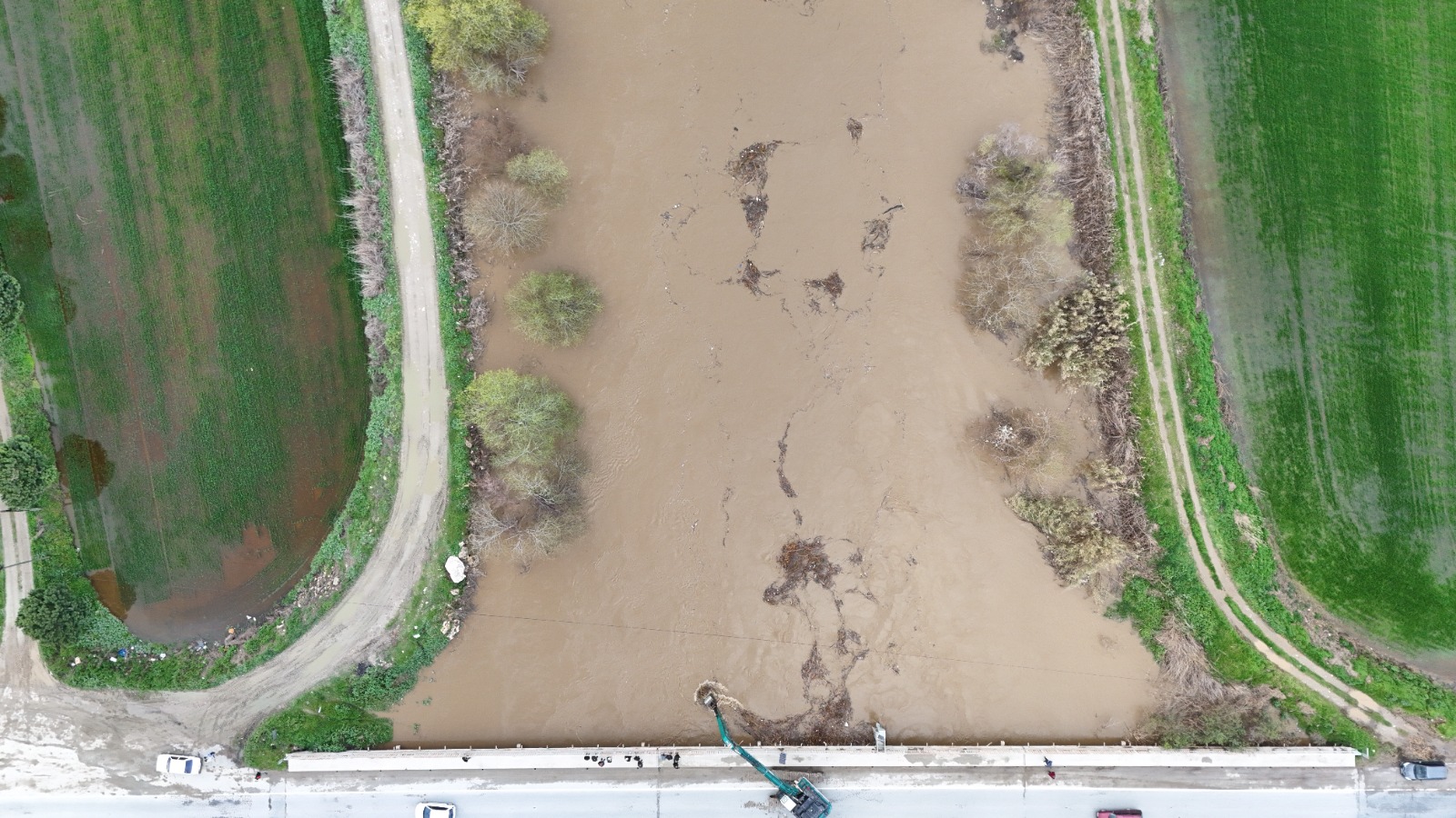 Whatsapp Image 2026 02 19 At 12.31.00 (5)