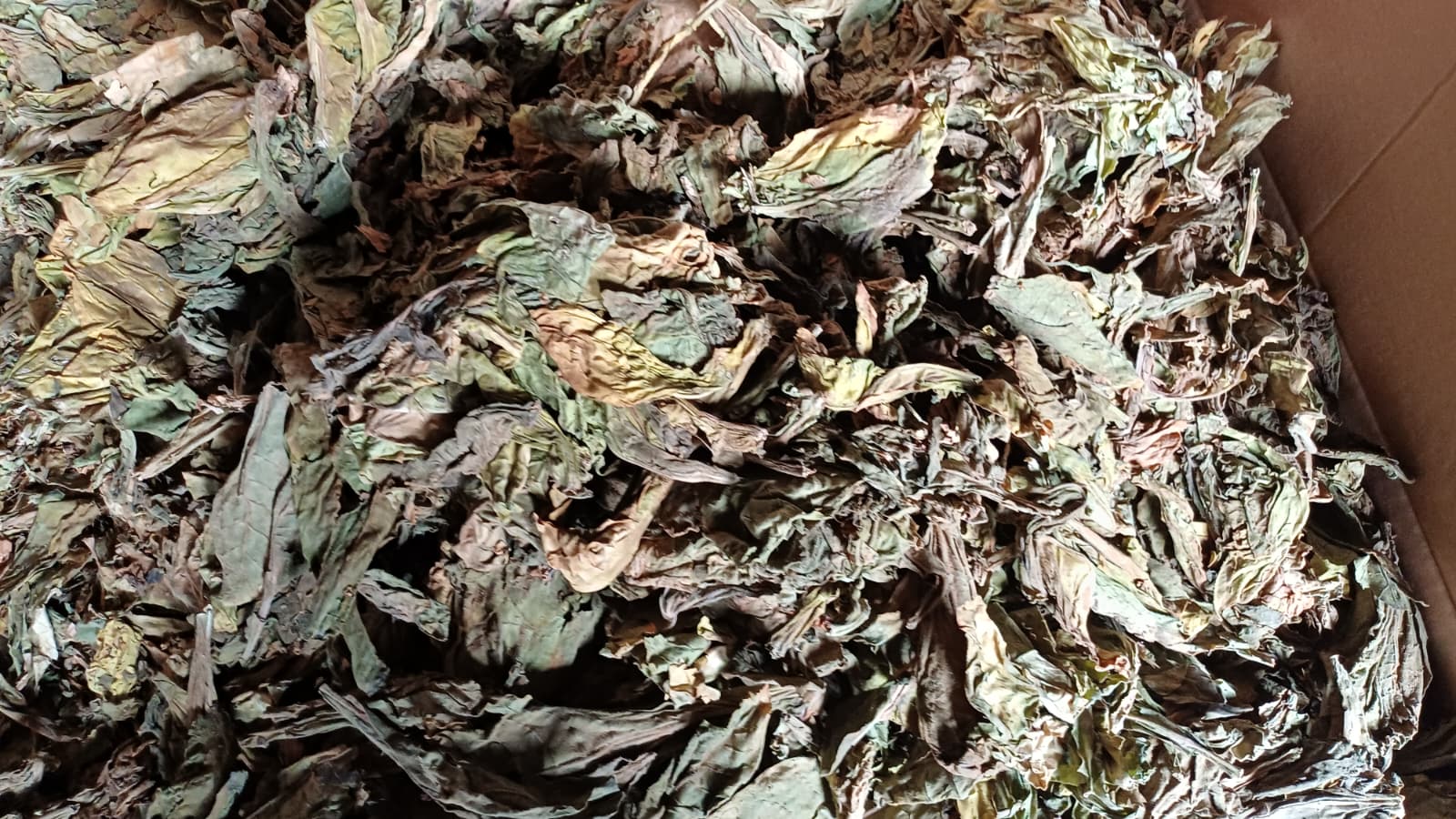 Whatsapp Image 2026 02 19 At 16.04.29