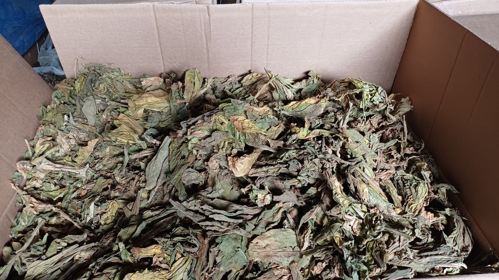 Whatsapp Image 2026 02 19 At 16.04.30 (1)