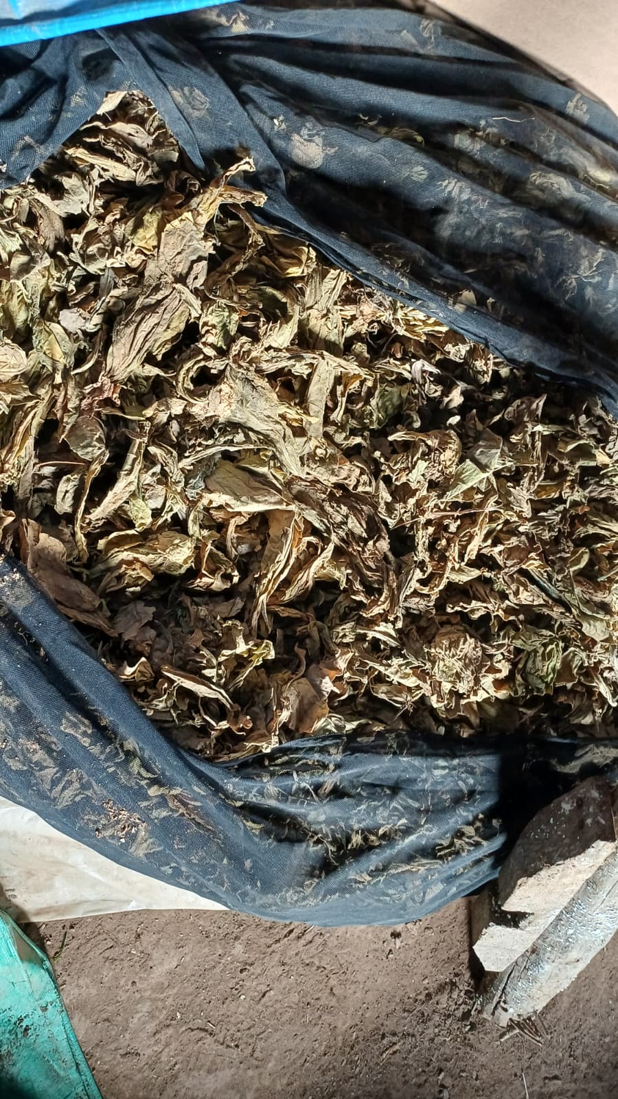 Whatsapp Image 2026 02 19 At 16.04.30 (2)