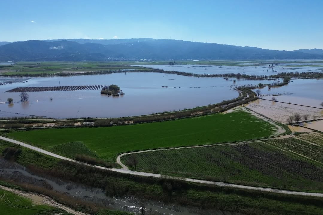 Whatsapp Image 2026 02 20 At 10.13.00 (1)