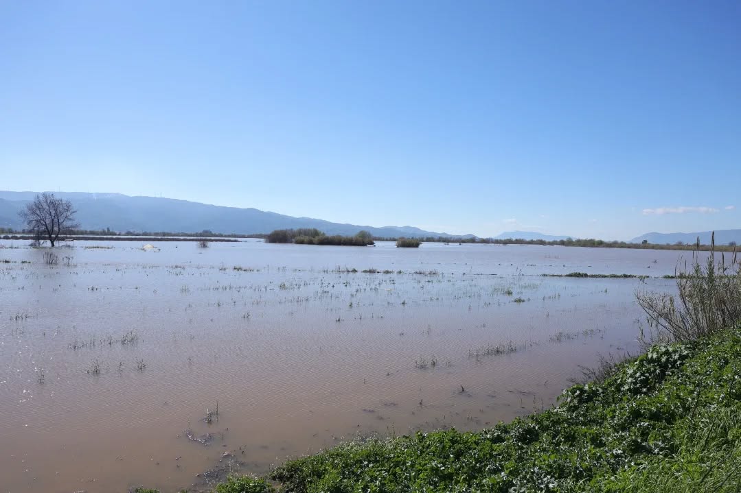 Whatsapp Image 2026 02 20 At 10.13.00