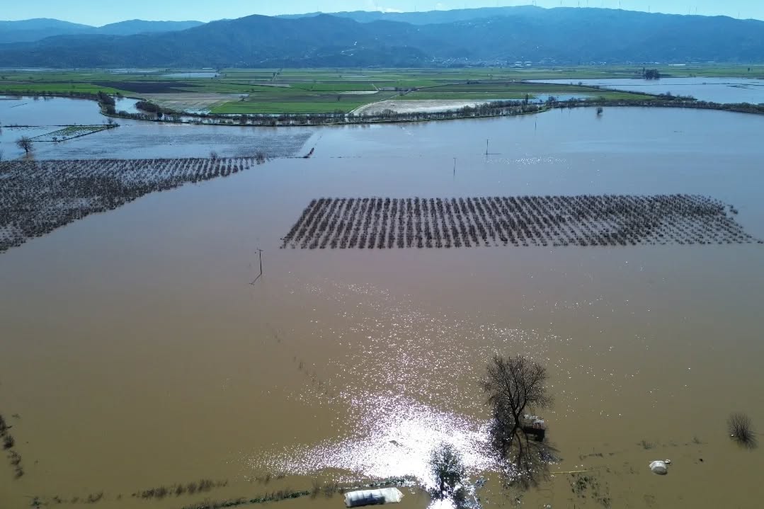 Whatsapp Image 2026 02 20 At 10.13.01