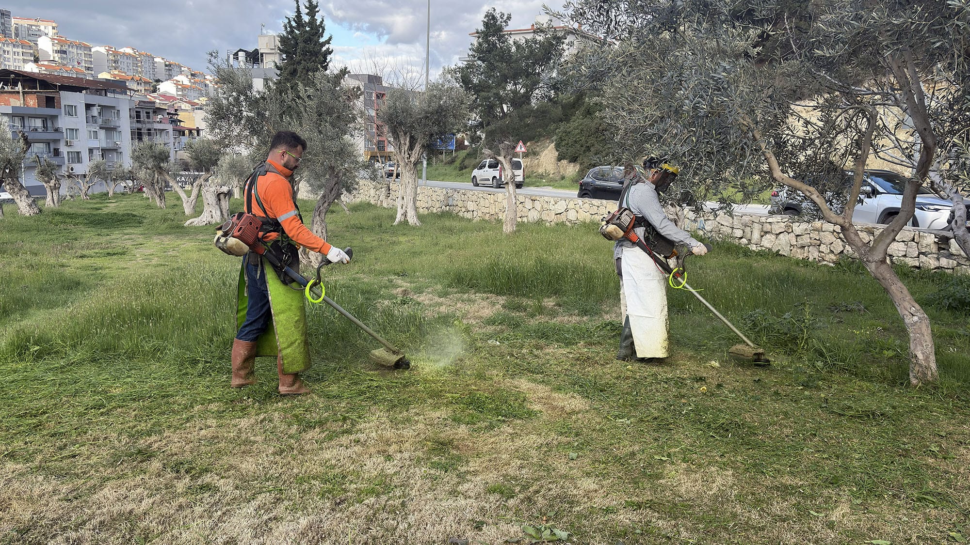 Whatsapp Image 2026 02 20 At 14.44.59