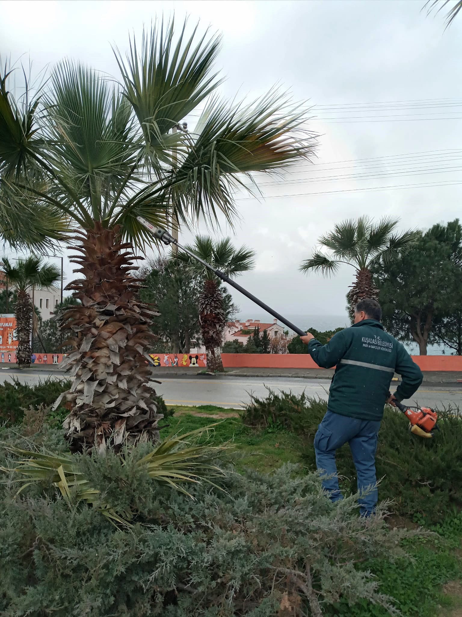 Whatsapp Image 2026 02 20 At 14.45.00