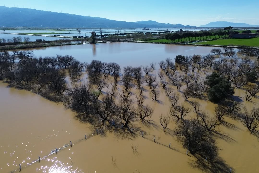 Whatsapp Image 2026 02 21 At 15.12.18 (2)