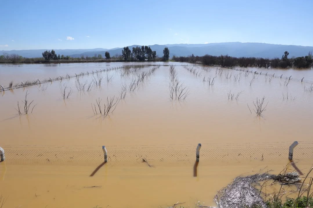 Whatsapp Image 2026 02 21 At 15.12.19 (1)