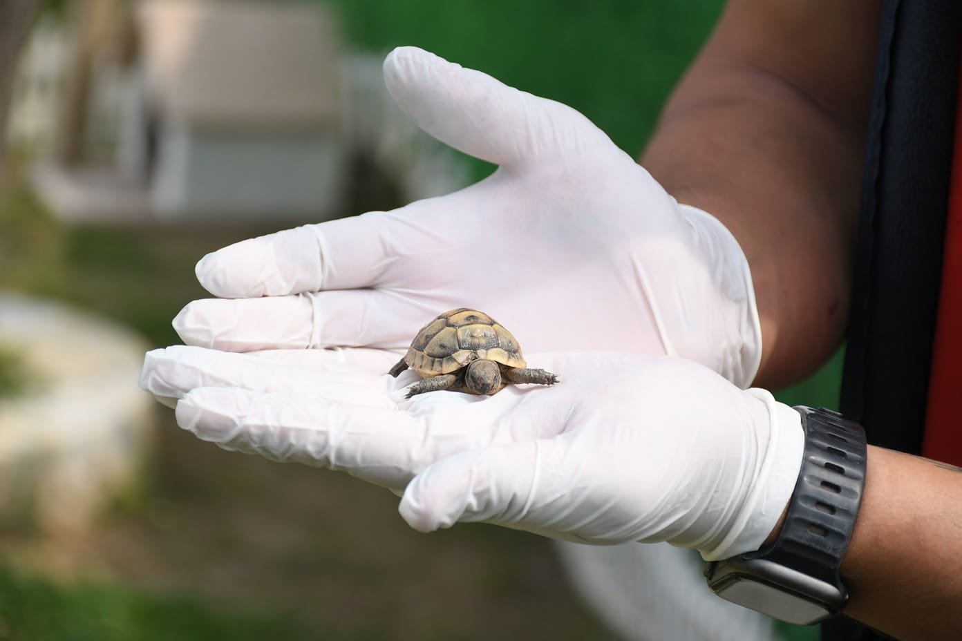 06851E94 1F34 4B4A 9524 9B90498C7D94