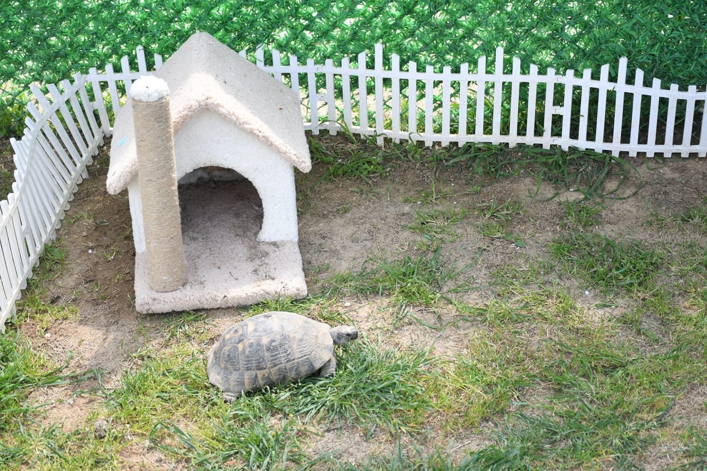 0E791Ebe A795 4F61 Bd72 Cb5845Ba2C27