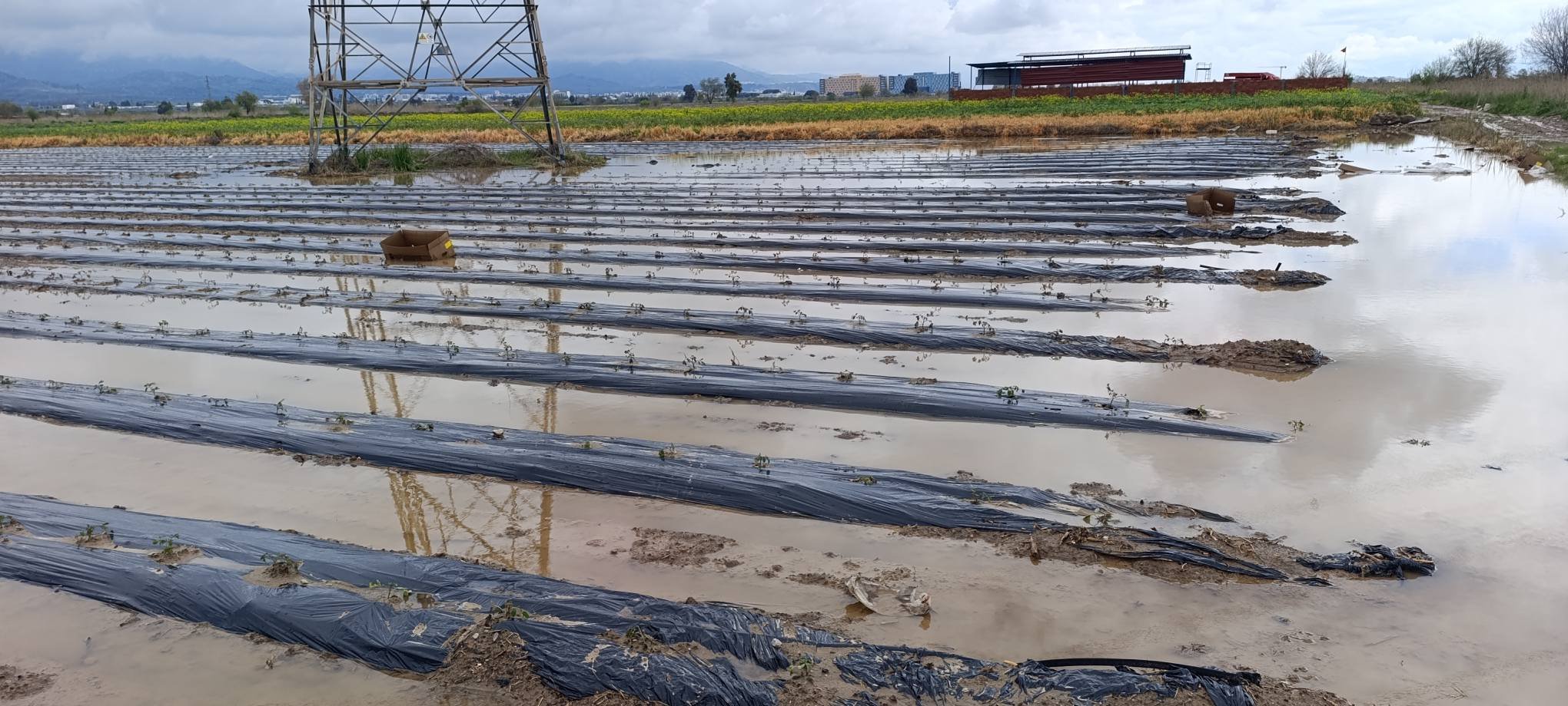 658195515 27101035689483366 5169646426367860255 N (1)