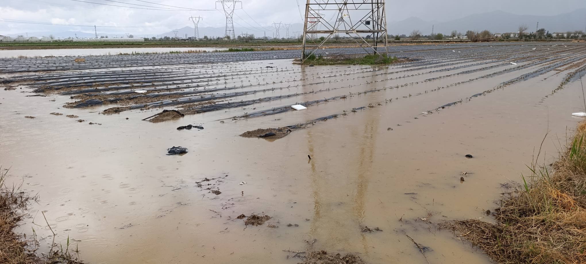 659031358 27101035379483397 8771809792265105060 N (1)