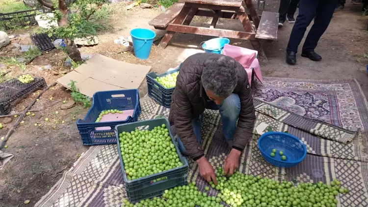 69B95B211C183F935E74B5Fc