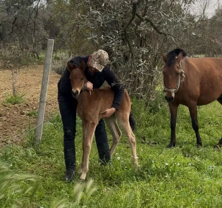 69C80D676B4683C9A388Adfd