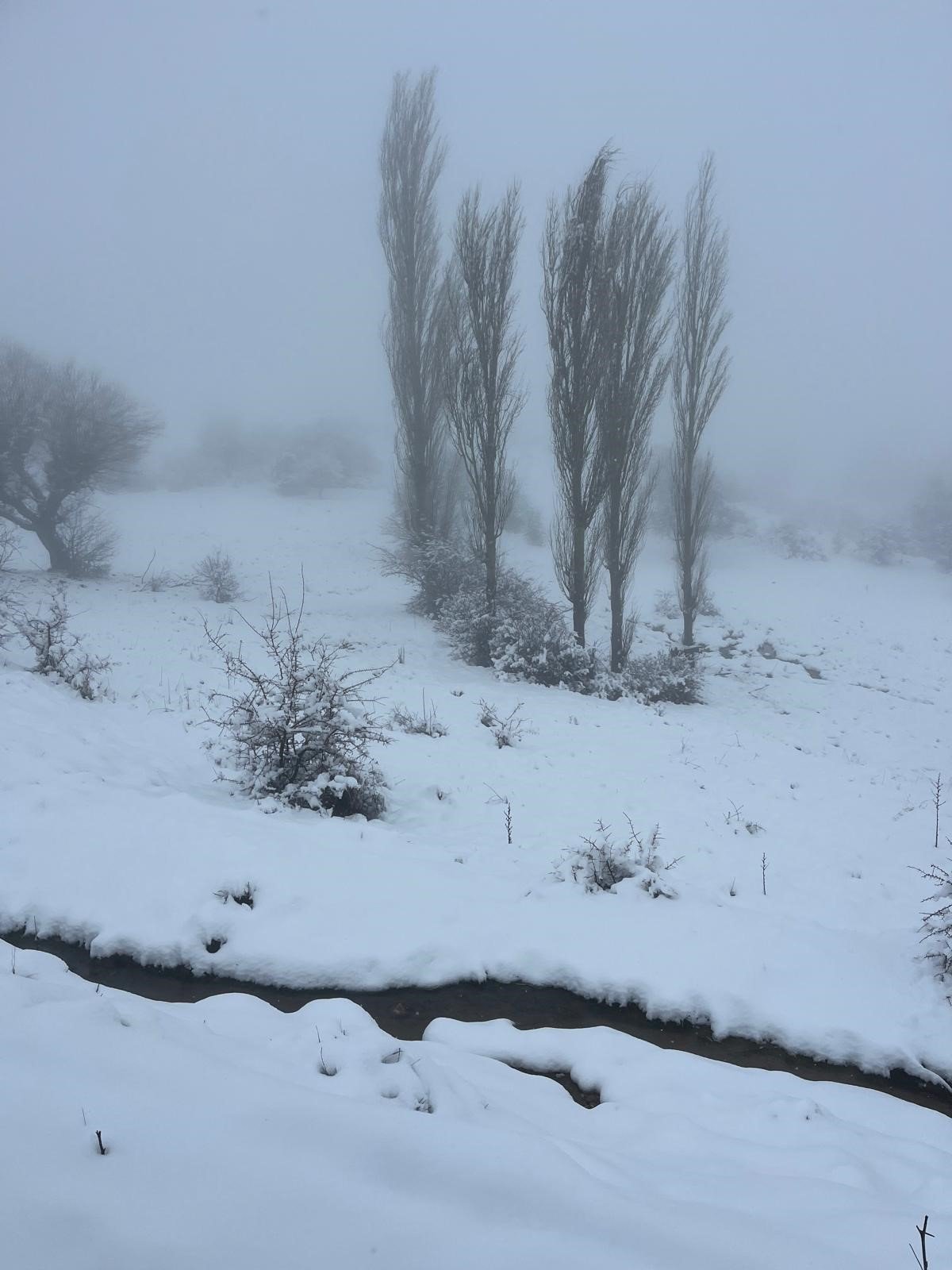Bozdoğan Mart’ta beyaza büründü