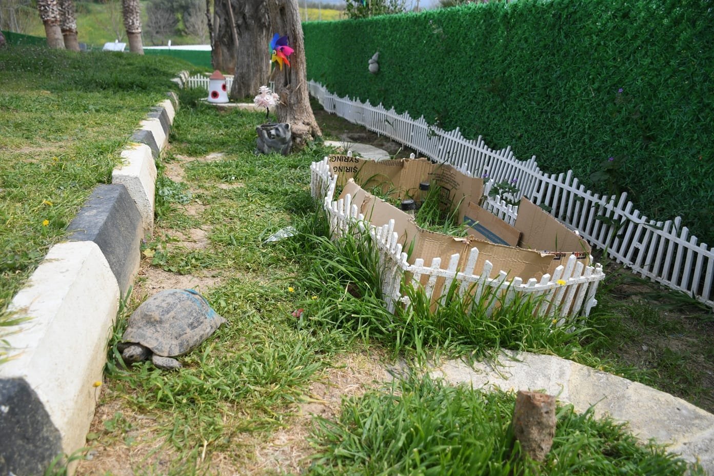 Aedf90C8 C84F 411A A3C9 1650Cdfe6882