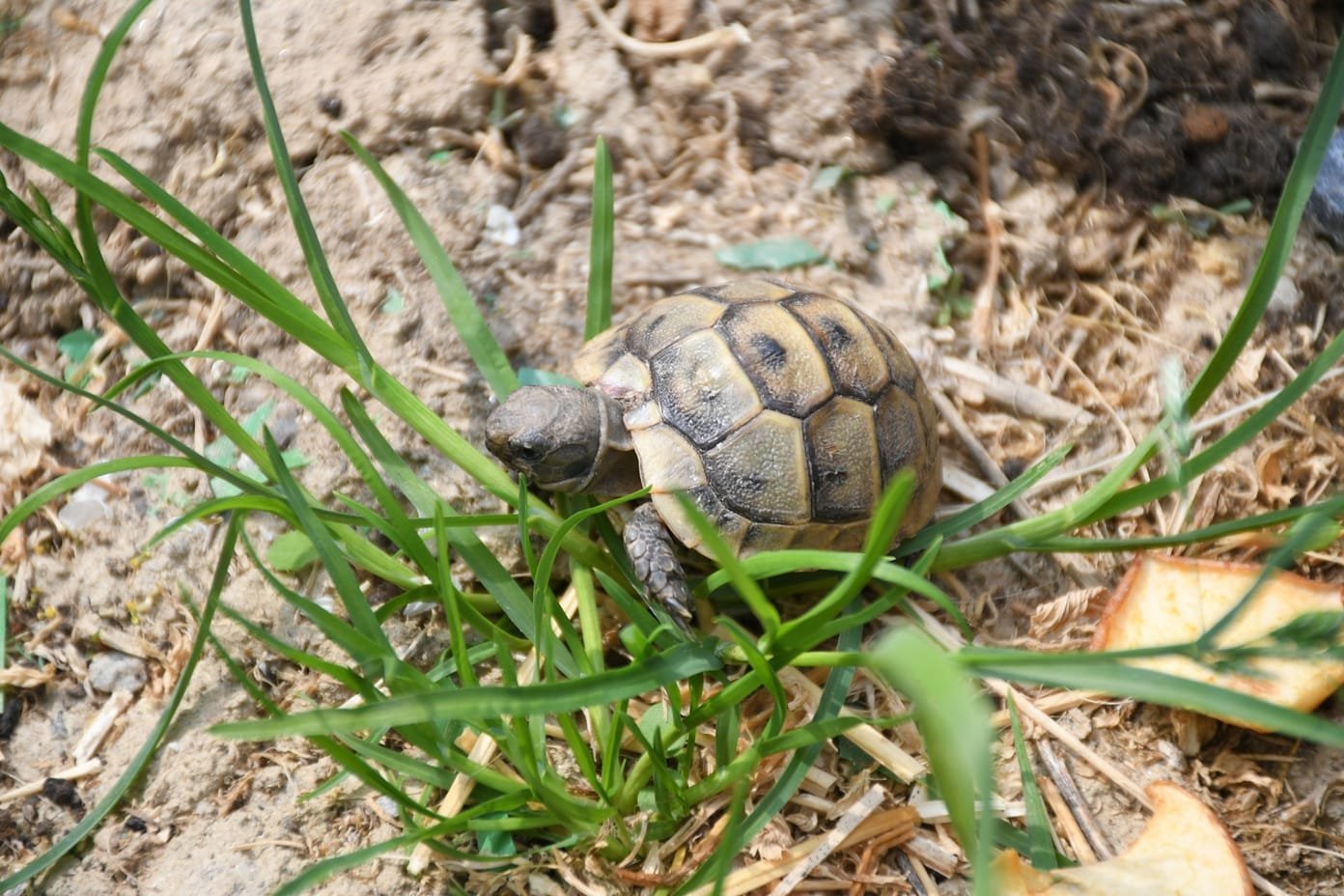 Eb5C1Fdf 7720 452E B21F C6C4C3F1804C