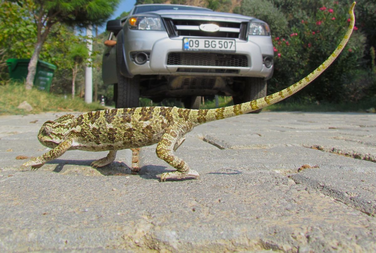 Ekodosd Başkanı Bahattin Sürücü’nün Paylaştığı Çarpıcı Veriler, Bölgedeki Tehlikeyi Bir Kez Daha Gözler Önüne Serdi (1)