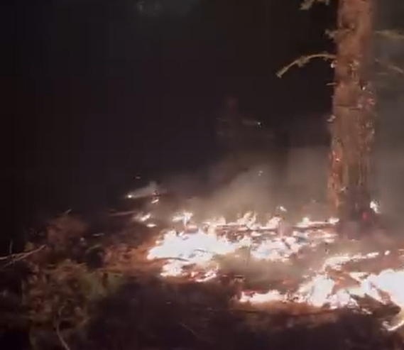 Ekran Görüntüsü 2026 03 08 221921