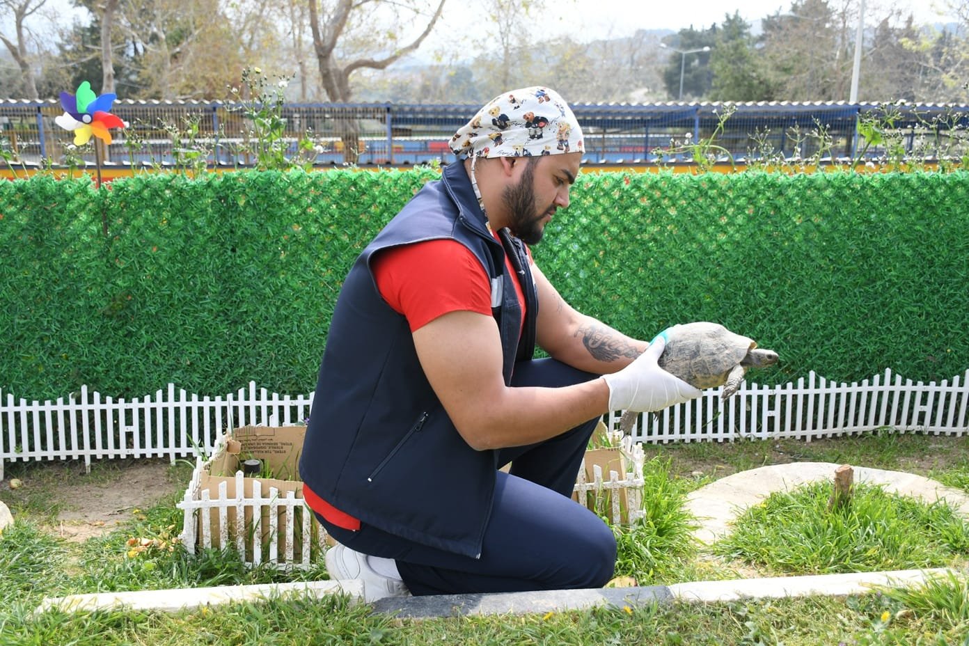 Fb4D2D11 A785 43Da Bce7 Ca59Afd8Adaf