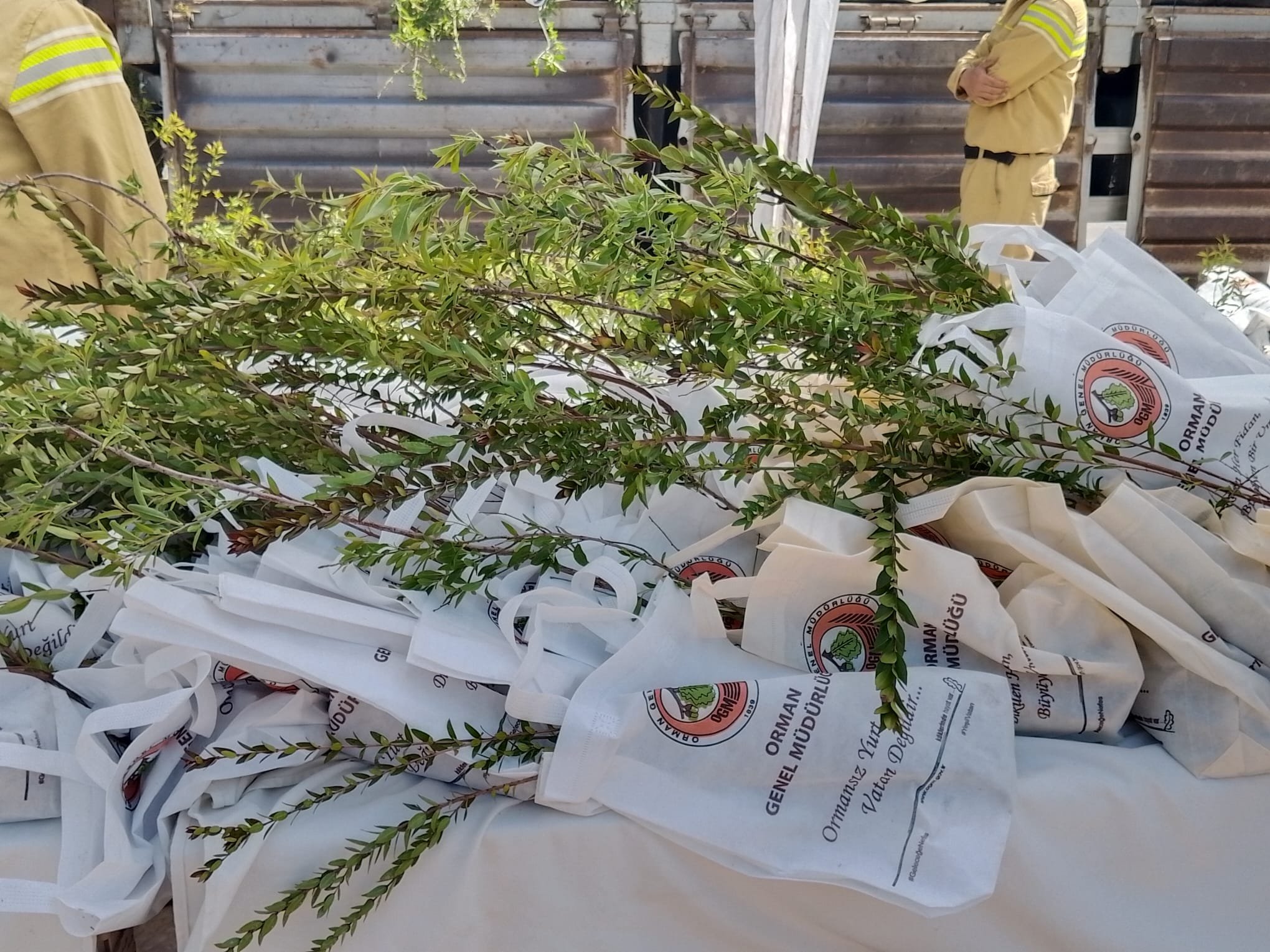 Fff93045 9661 416A Bf57 B7Cef4A260Bc