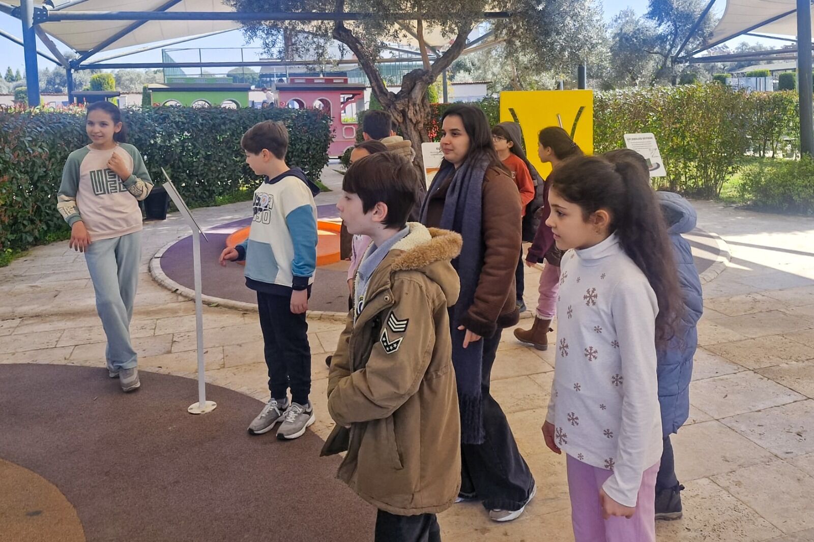 I M G 20260303 W A0017