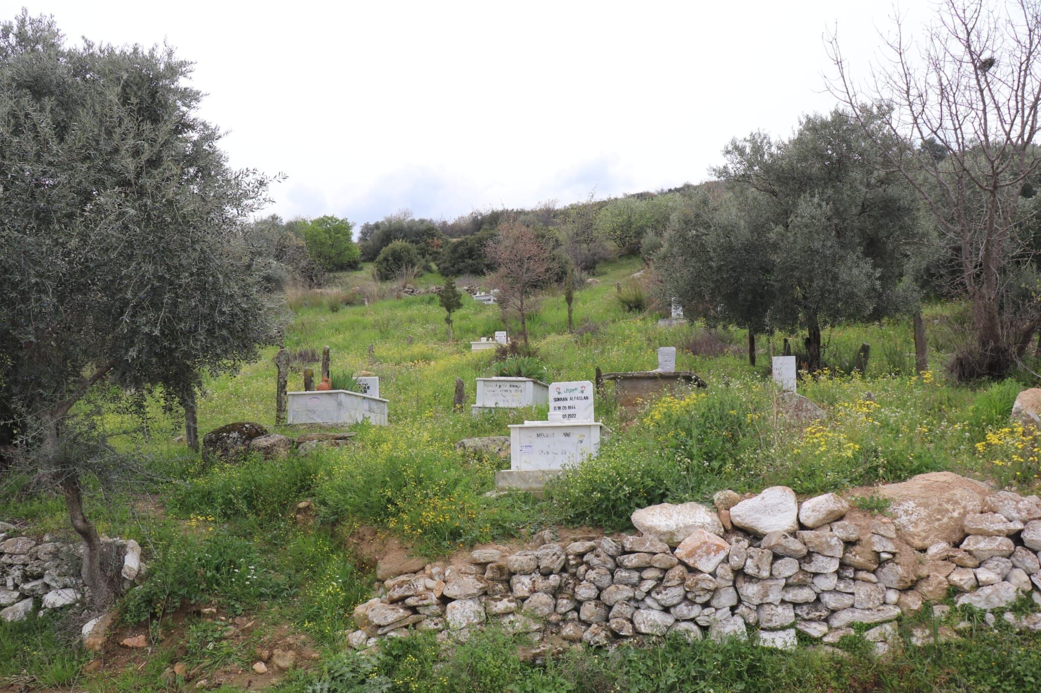 Whatsapp Image 2026 03 18 At 18.57.00 (2)