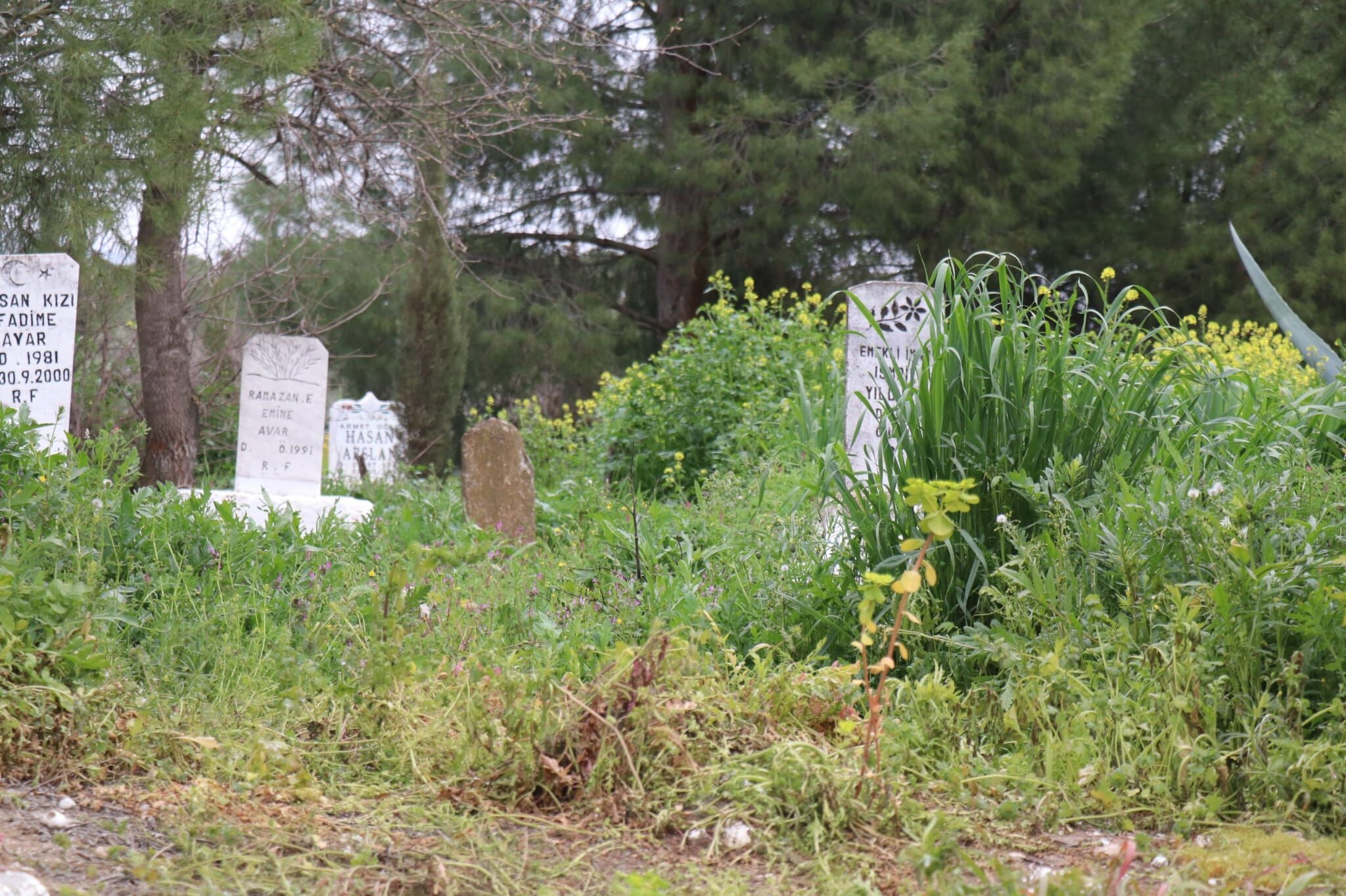 Whatsapp Image 2026 03 18 At 18.58.07