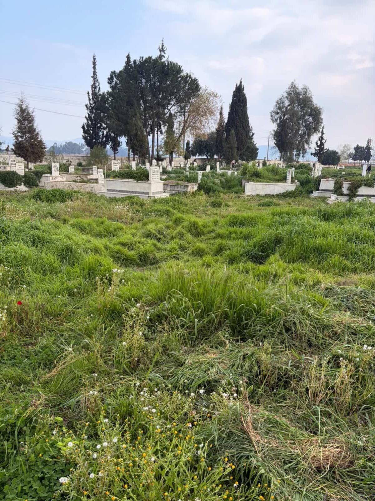 Whatsapp Image 2026 03 19 At 17.40.01 (1)