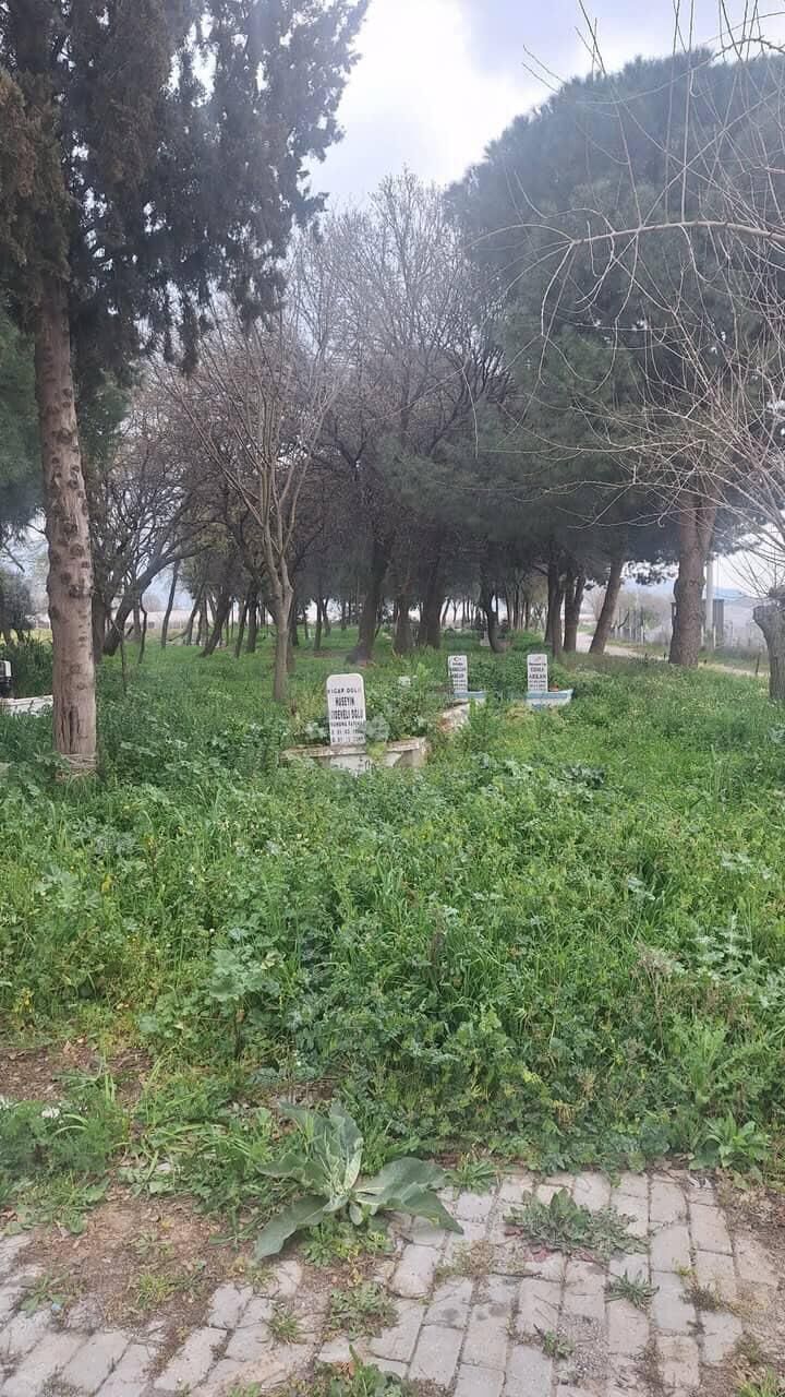 Whatsapp Image 2026 03 19 At 17.40.53