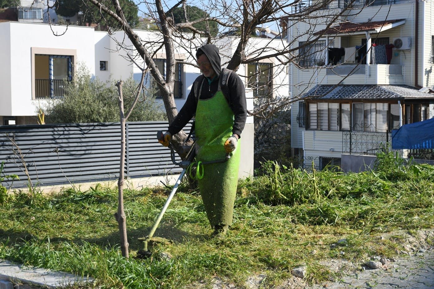 Whatsapp Image 2026 03 26 At 17.06.01 (1)