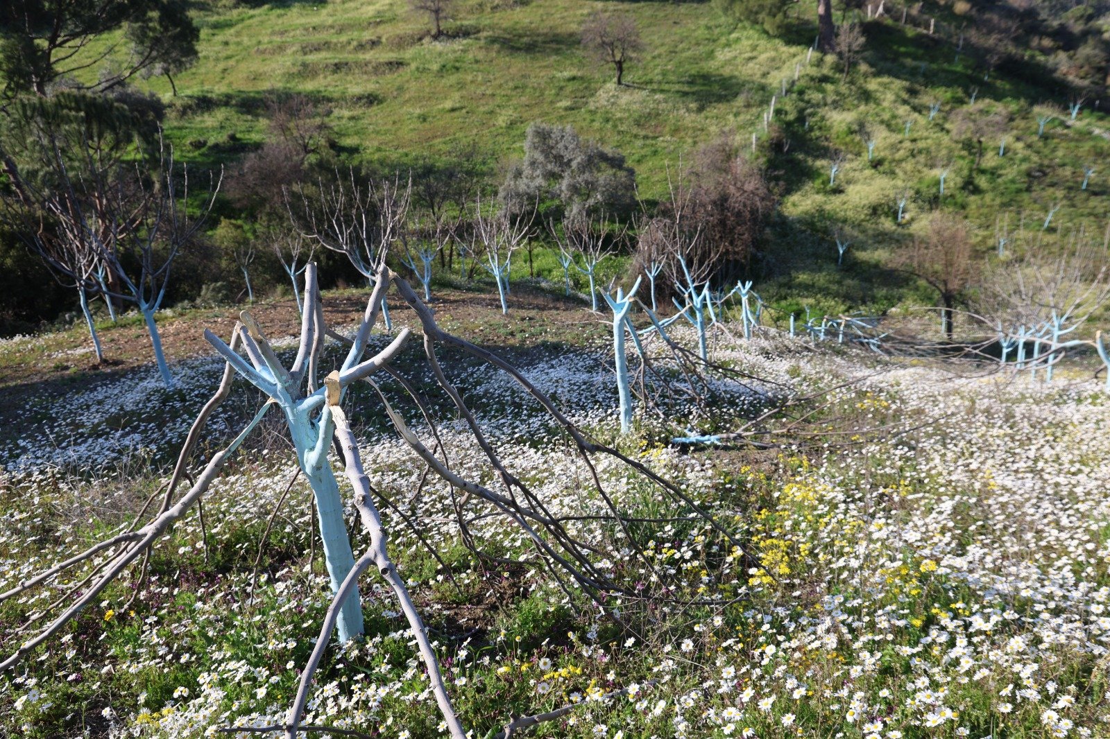 Whatsapp Image 2026 03 27 At 12.54.58 (5)