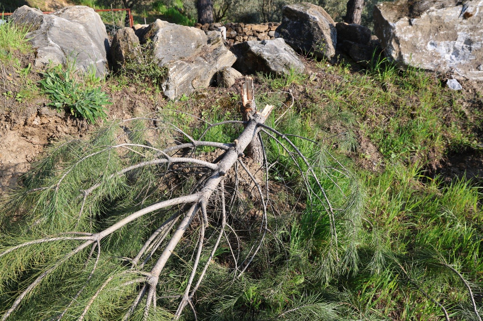 Whatsapp Image 2026 03 27 At 12.54.58 (6)