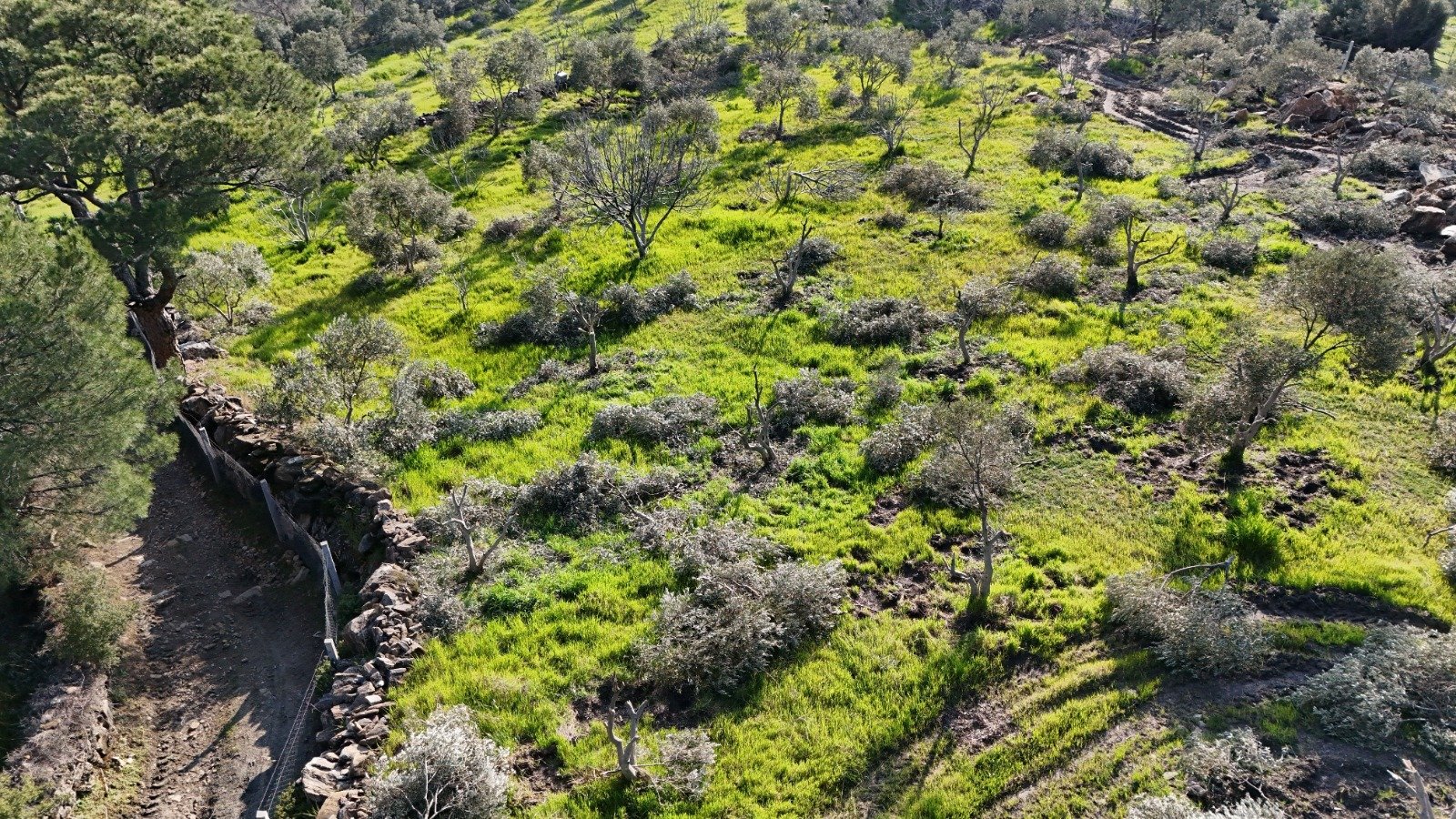 Whatsapp Image 2026 03 27 At 12.54.58 (7)