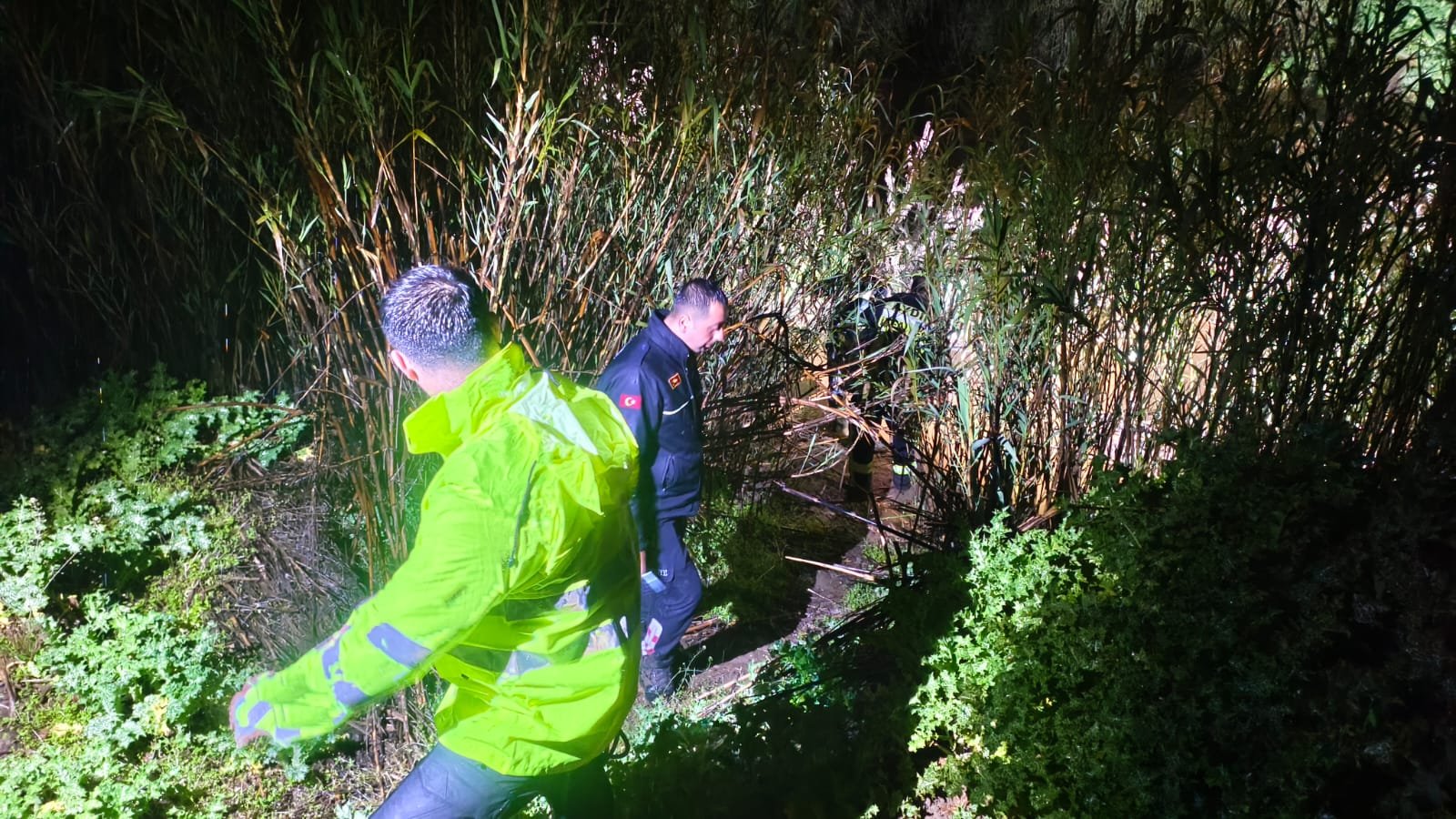 Whatsapp Image 2026 03 29 At 09.56.51