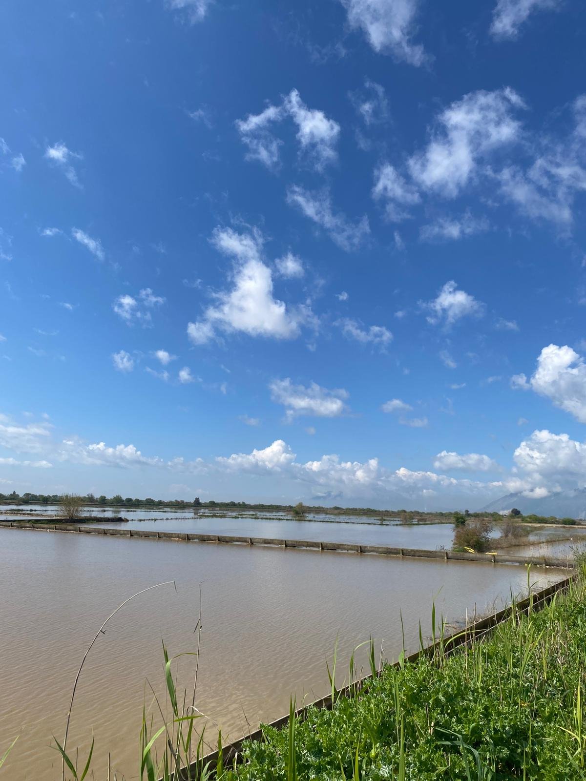 Whatsapp Image 2026 03 30 At 11.26.50 (2)