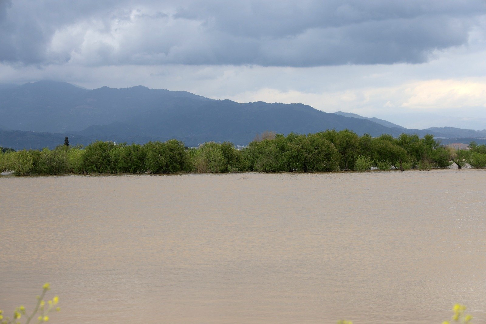 Whatsapp Image 2026 03 30 At 15.59.07 (1)