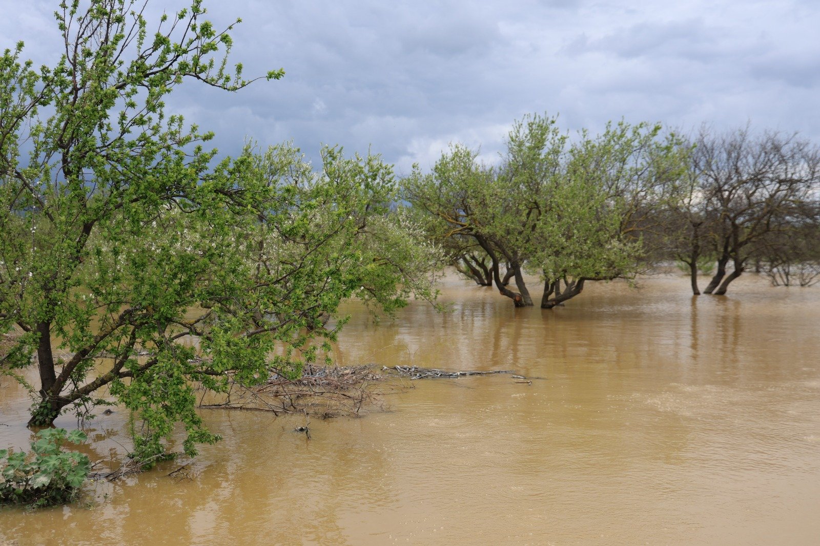 Whatsapp Image 2026 03 30 At 15.59.07 (13)