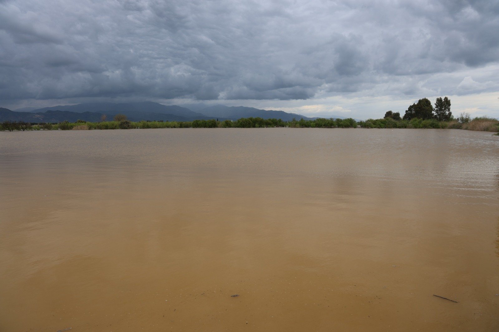 Whatsapp Image 2026 03 30 At 15.59.07 (2)