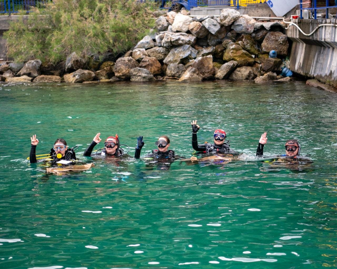 60165A51 Ee95 4E4C B20D 673867E068B7