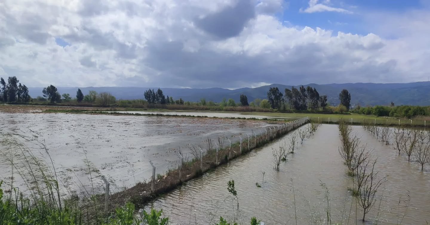 657635140 18352798393235563 2822236794181217539 N