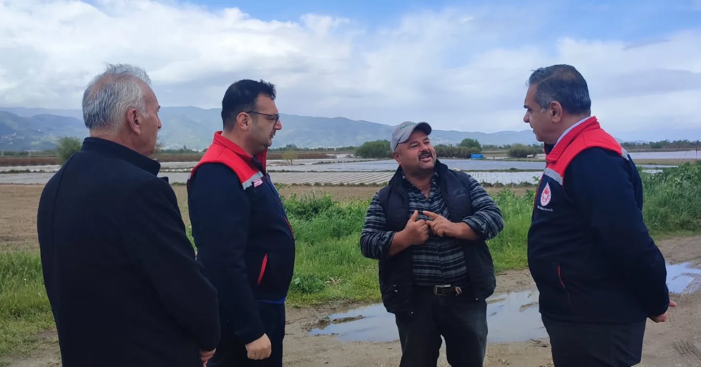 660740174 18352798372235563 7825367684352274936 N