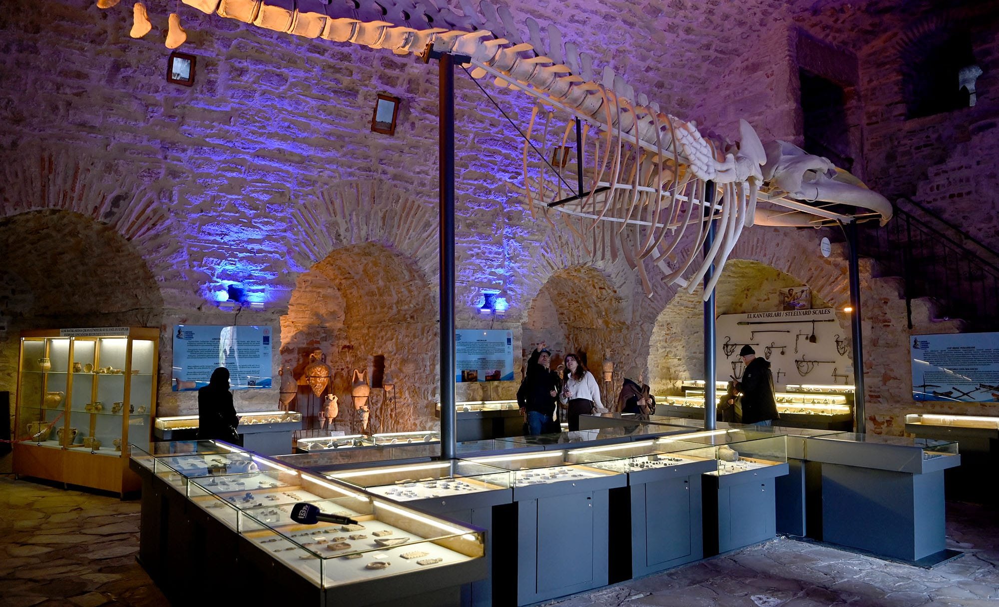 Ad12B934 3C8A 4C5A 9Eb5 Fdb90125F712